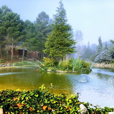 Chalet Esmeralda 3 D Y 2 Banos Zafiro Lagunazo Parque Natural Rio Mundo Riópar Kültér fotó