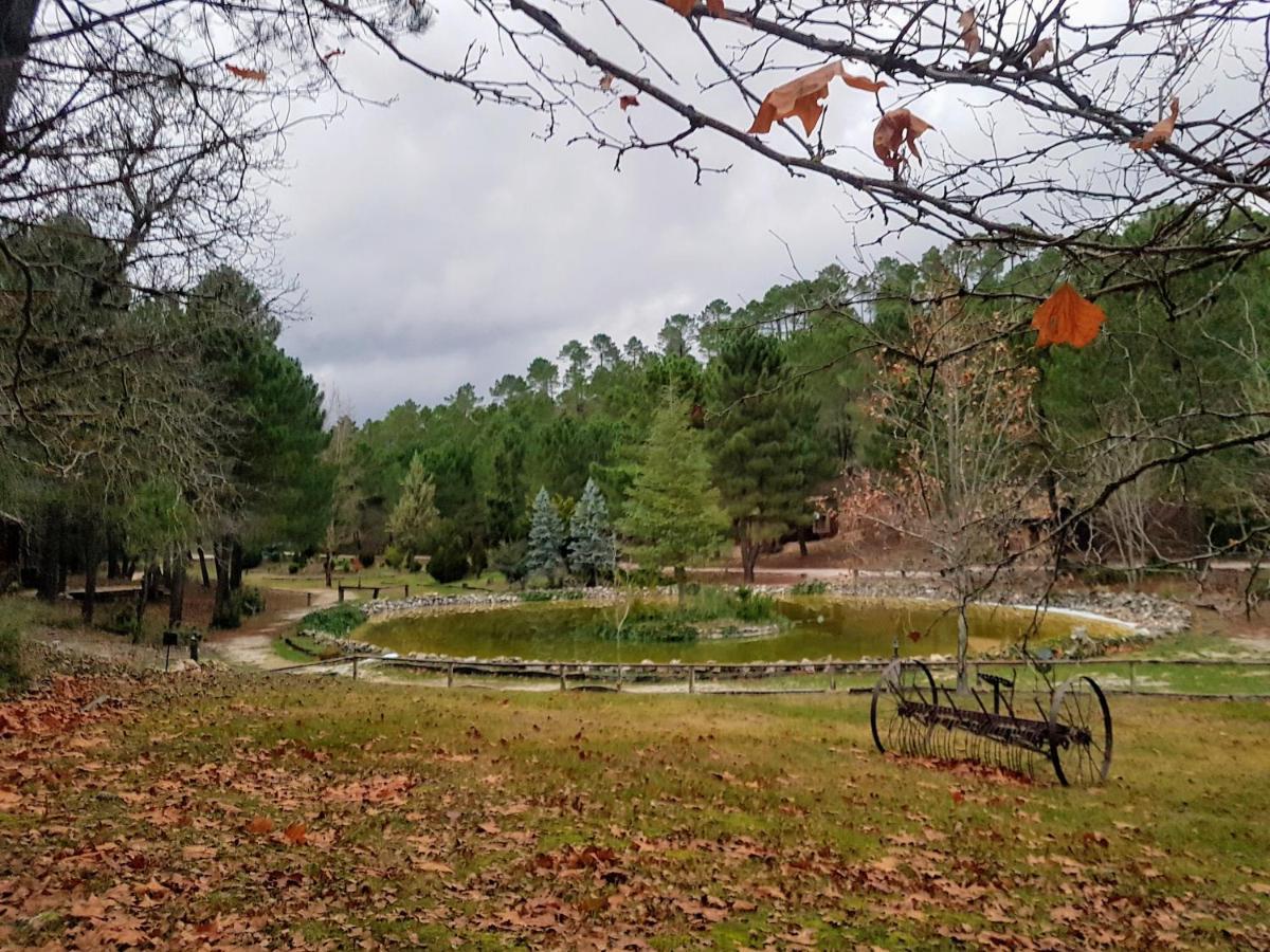 Chalet Esmeralda 3 D Y 2 Banos Zafiro Lagunazo Parque Natural Rio Mundo Riópar Kültér fotó