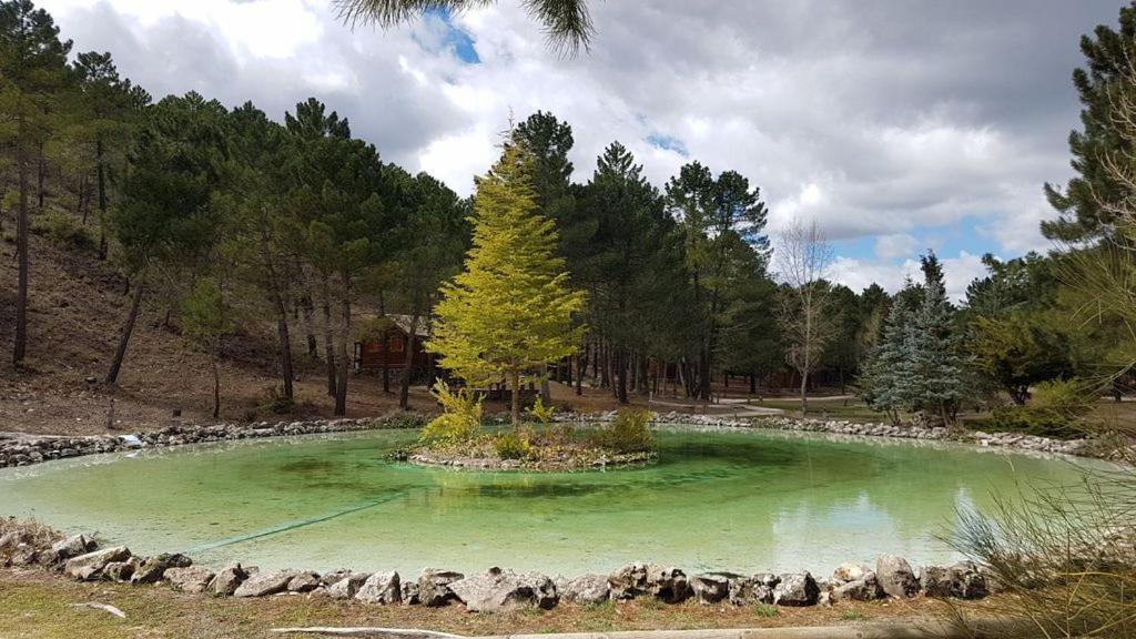 Chalet Esmeralda 3 D Y 2 Banos Zafiro Lagunazo Parque Natural Rio Mundo Riópar Kültér fotó