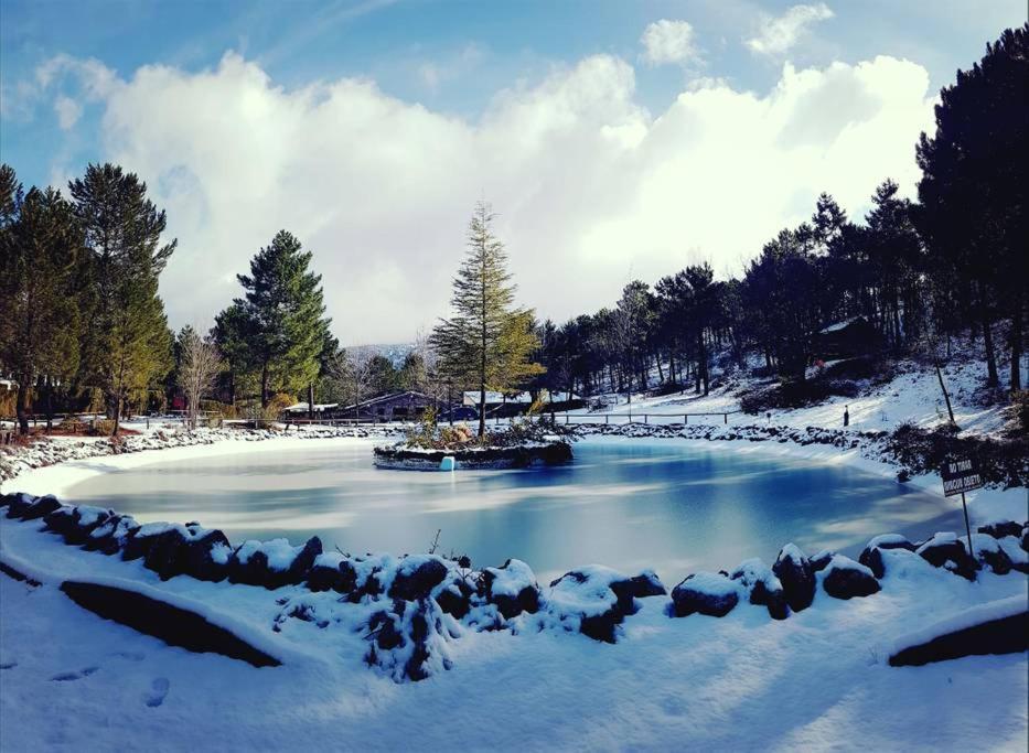 Chalet Esmeralda 3 D Y 2 Banos Zafiro Lagunazo Parque Natural Rio Mundo Riópar Kültér fotó