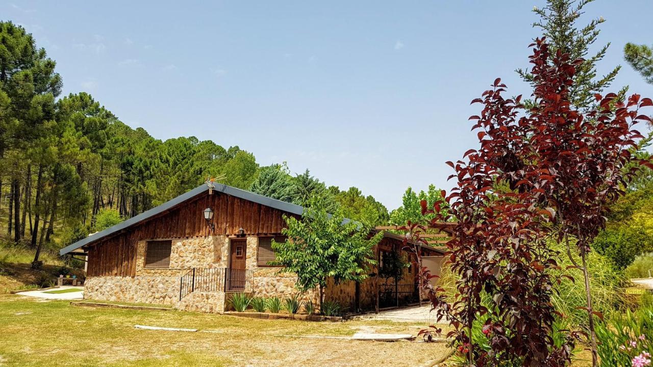 Chalet Esmeralda 3 D Y 2 Banos Zafiro Lagunazo Parque Natural Rio Mundo Riópar Kültér fotó