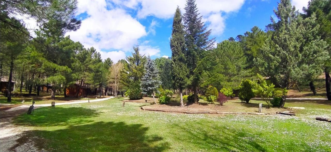 Chalet Esmeralda 3 D Y 2 Banos Zafiro Lagunazo Parque Natural Rio Mundo Riópar Kültér fotó