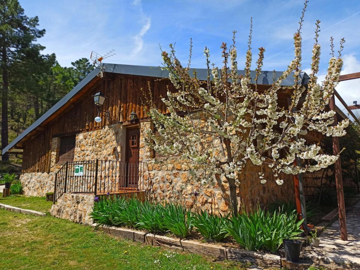 Chalet Esmeralda 3 D Y 2 Banos Zafiro Lagunazo Parque Natural Rio Mundo Riópar Kültér fotó