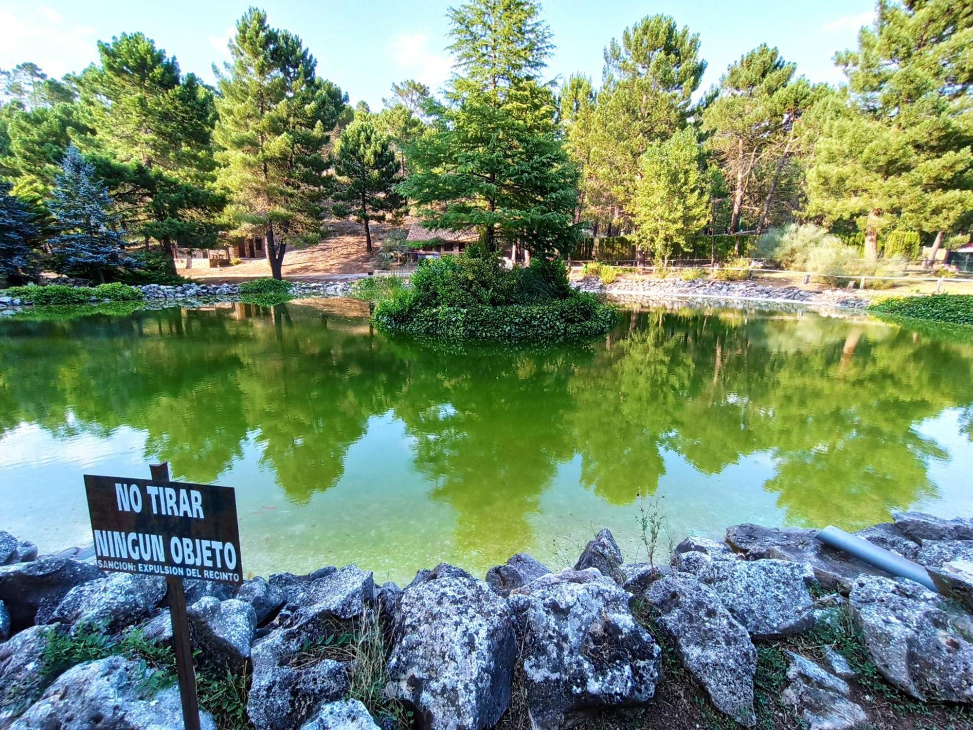 Chalet Esmeralda 3 D Y 2 Banos Zafiro Lagunazo Parque Natural Rio Mundo Riópar Kültér fotó