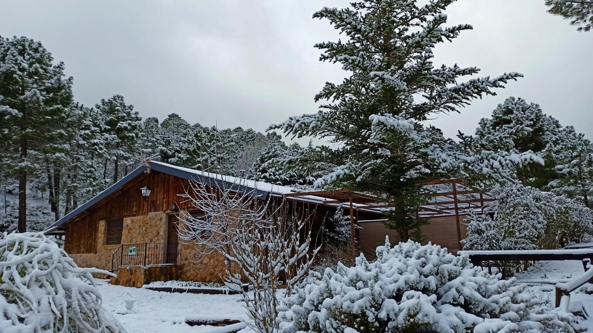 Chalet Esmeralda 3 D Y 2 Banos Zafiro Lagunazo Parque Natural Rio Mundo Riópar Kültér fotó